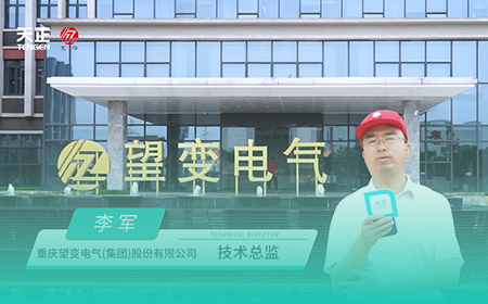 开云x望变电气